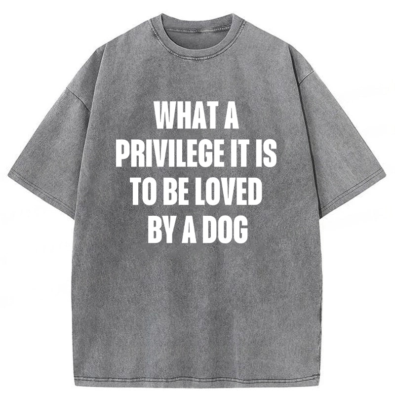 What A Privilege It Is To Be Loved By A Dog Washed Unisex Tee