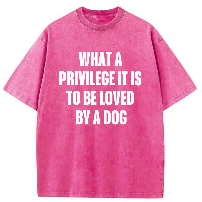 What A Privilege It Is To Be Loved By A Dog Washed Unisex Tee