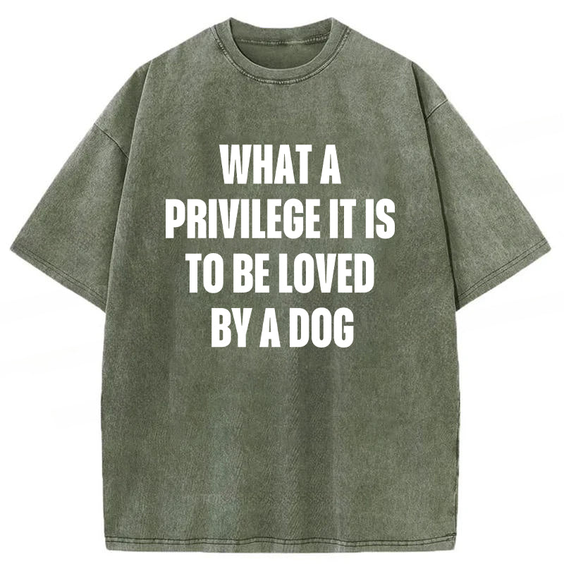 What A Privilege It Is To Be Loved By A Dog Washed Unisex Tee
