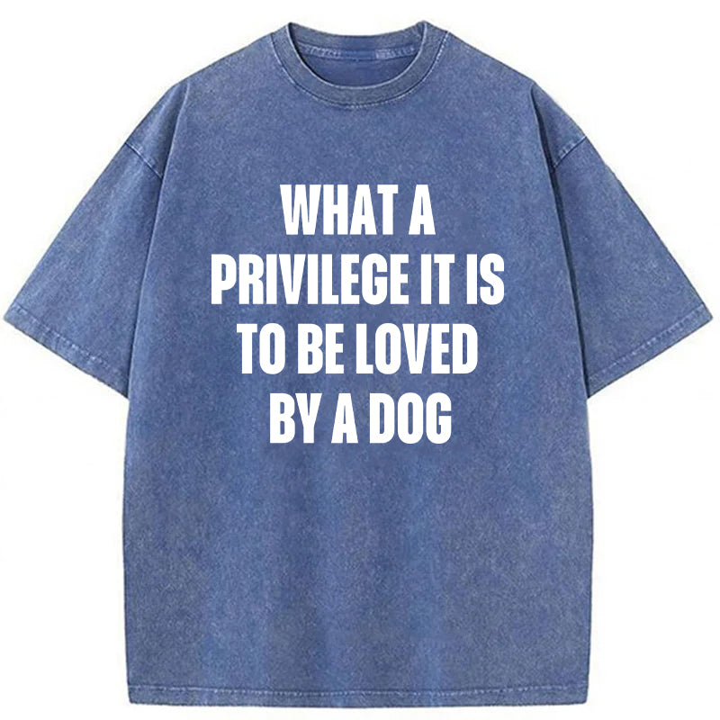What A Privilege It Is To Be Loved By A Dog Washed Unisex Tee