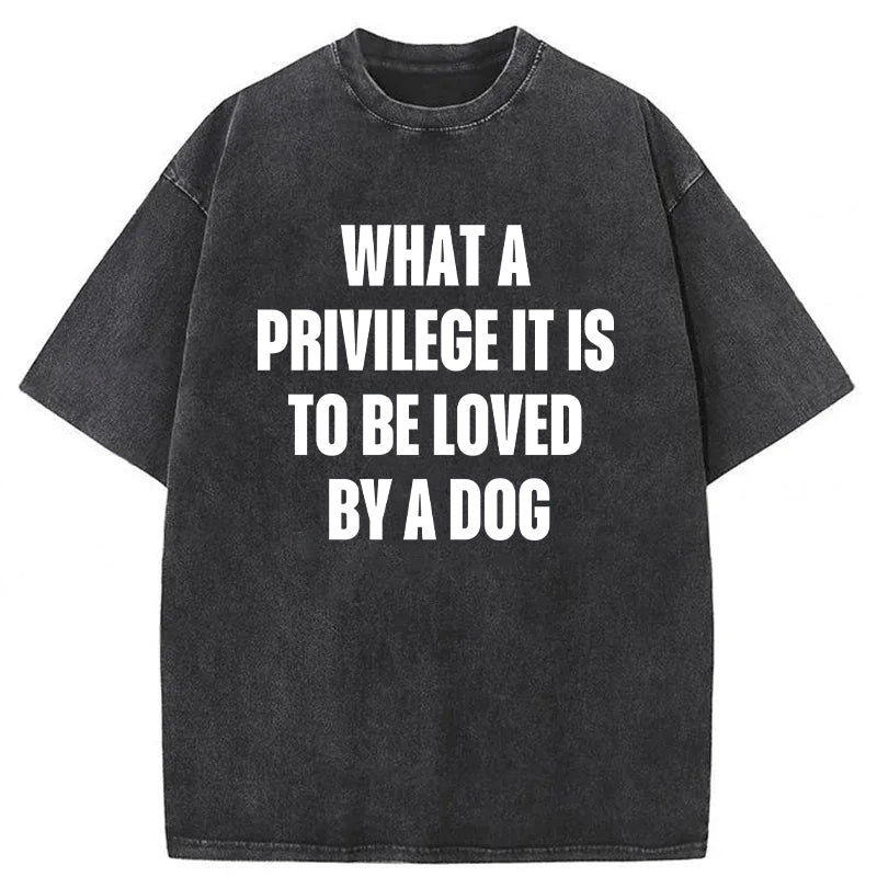 What A Privilege It Is To Be Loved By A Dog Washed Unisex Tee