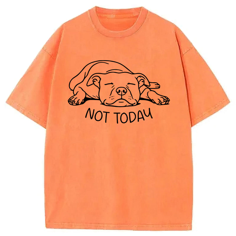 Not Today Washed Unisex Tee