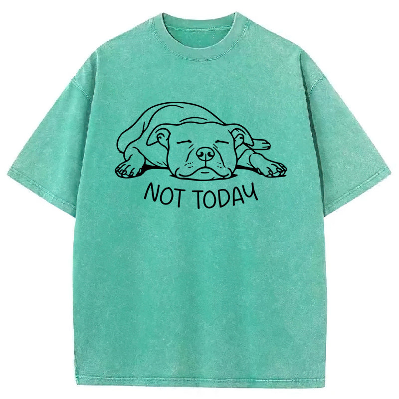 Not Today Washed Unisex Tee