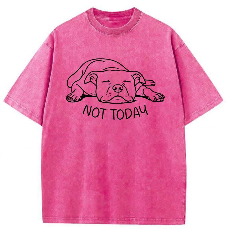 Not Today Washed Unisex Tee
