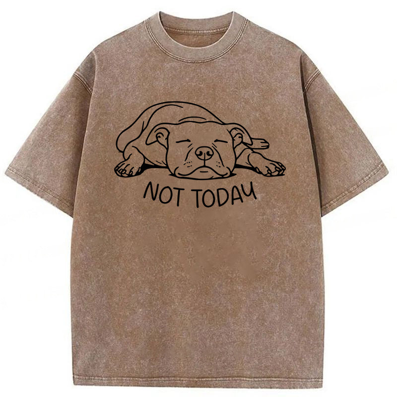 Not Today Washed Unisex Tee