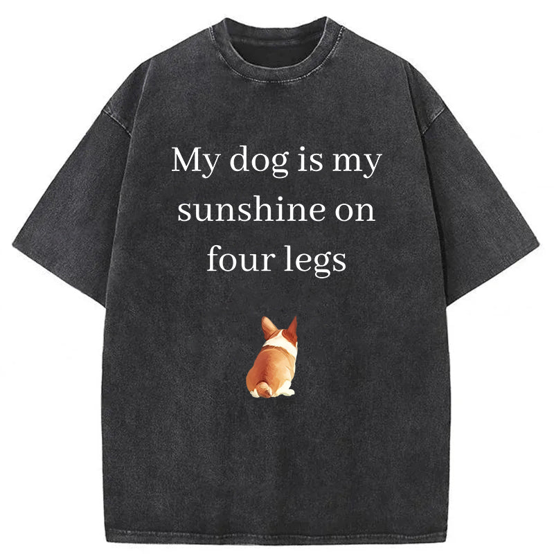 My Dog Is My Sunshine On Four Legs Washed Unisex Tee
