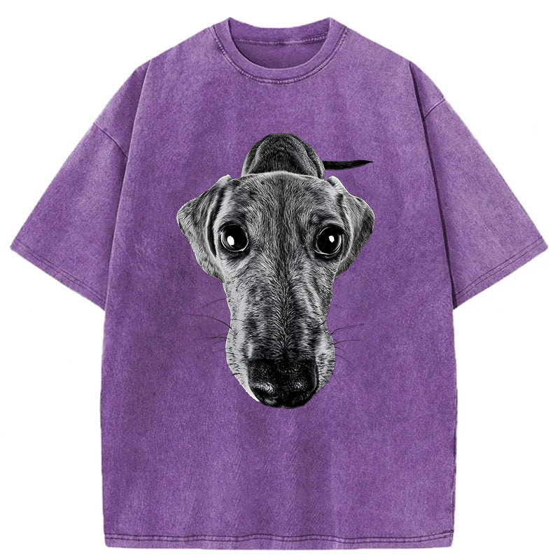 Funny Dachshund Washed Unisex Tee