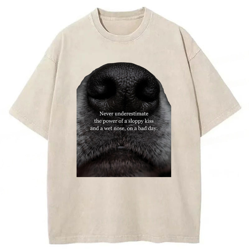 The Power Of A Sloppy Kiss Washed Unisex Tee
