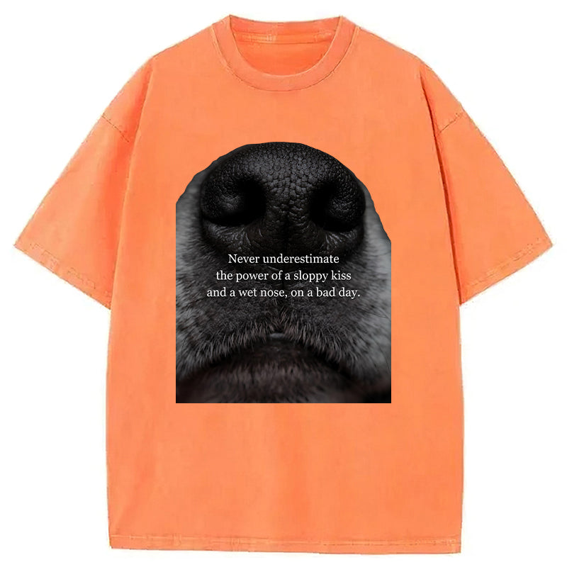 The Power Of A Sloppy Kiss Washed Unisex Tee
