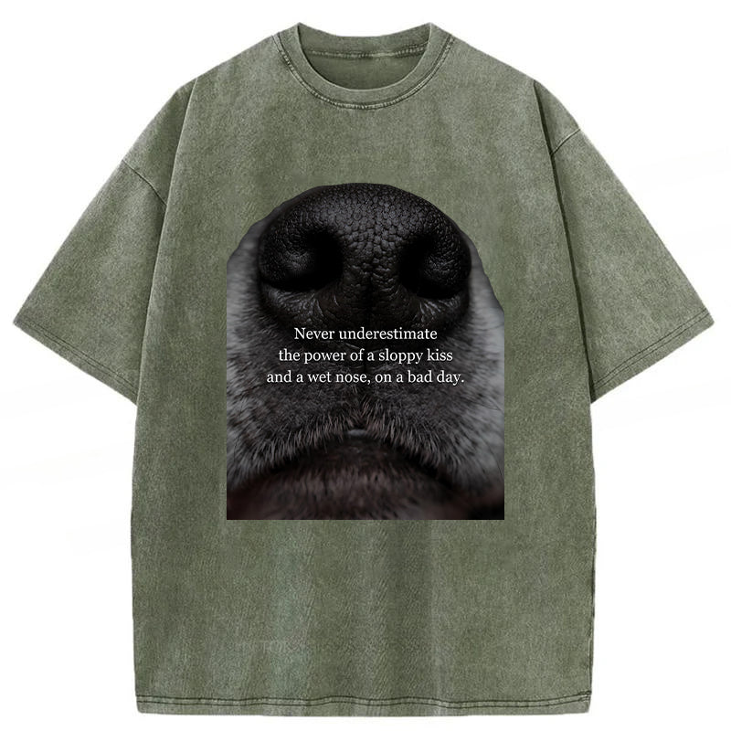The Power Of A Sloppy Kiss Washed Unisex Tee