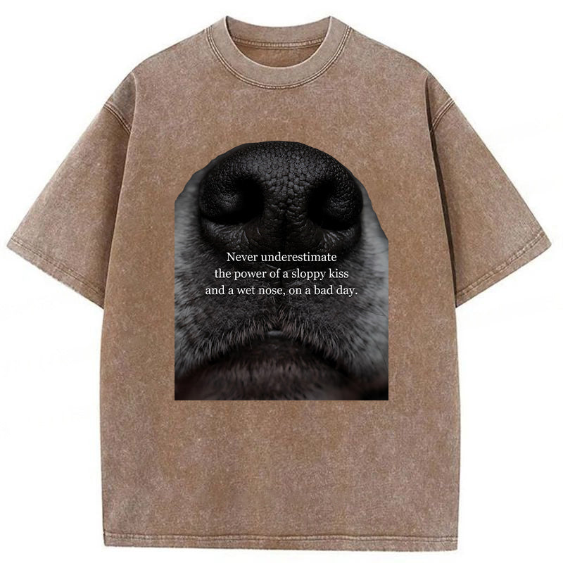 The Power Of A Sloppy Kiss Washed Unisex Tee