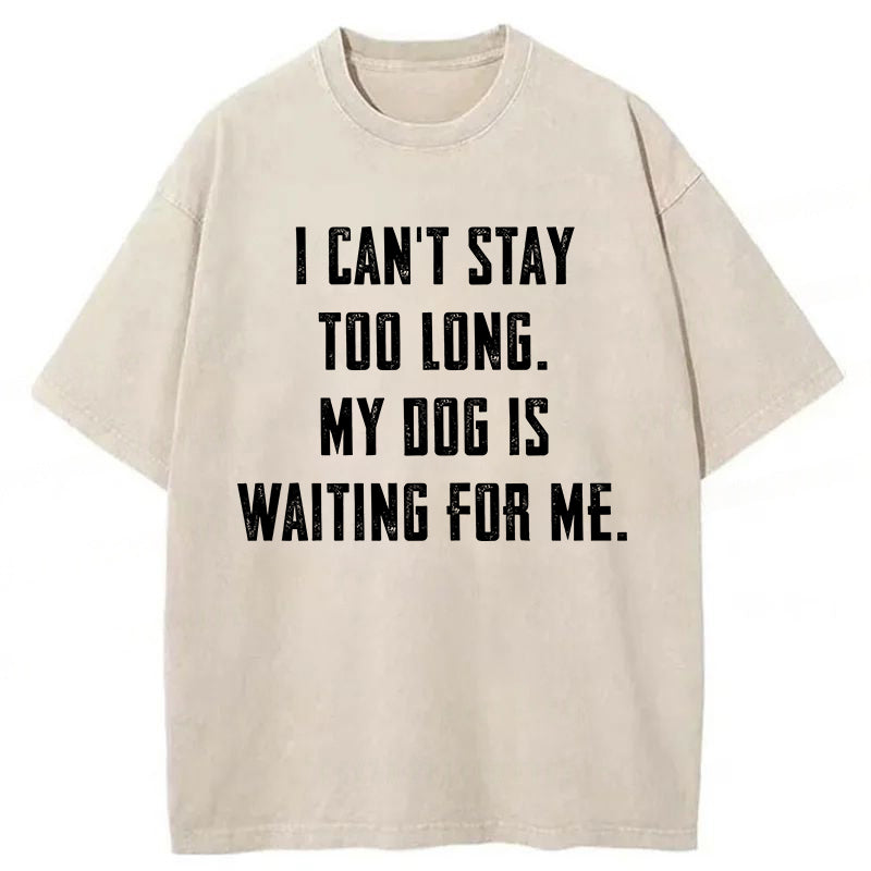 My Dog Is Waiting For Me Washed Unisex Tee