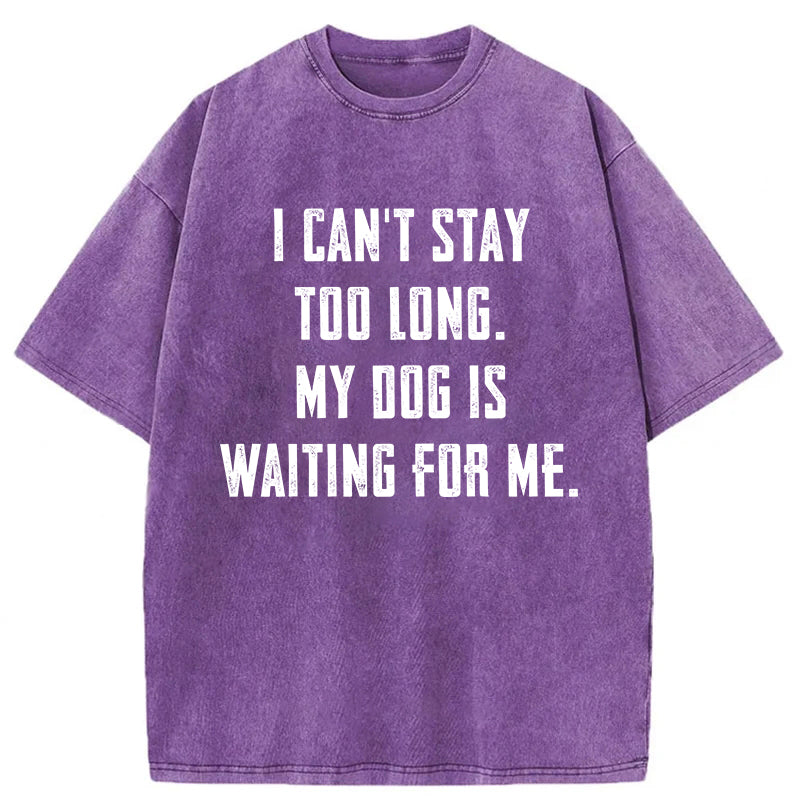 My Dog Is Waiting For Me Washed Unisex Tee
