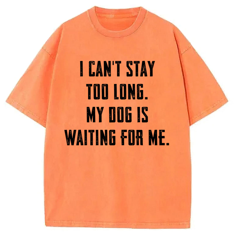 My Dog Is Waiting For Me Washed Unisex Tee