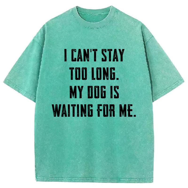 My Dog Is Waiting For Me Washed Unisex Tee