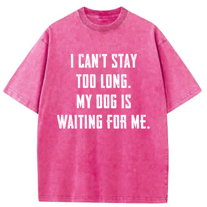 My Dog Is Waiting For Me Washed Unisex Tee