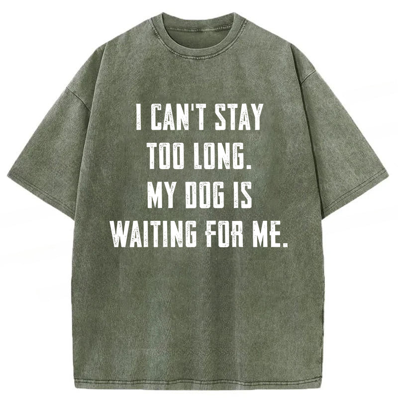 My Dog Is Waiting For Me Washed Unisex Tee