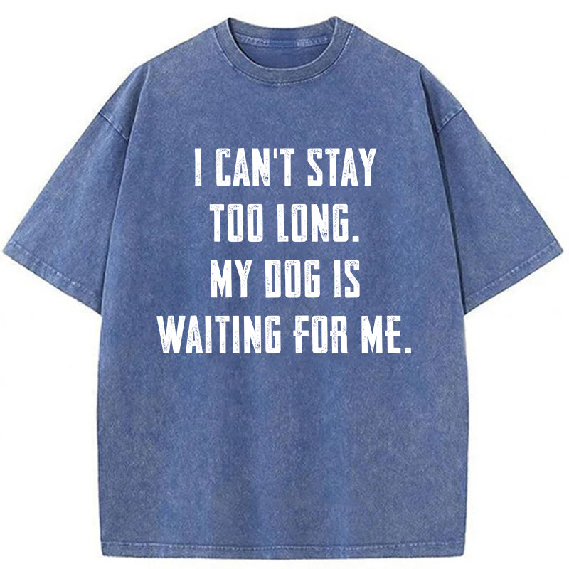 My Dog Is Waiting For Me Washed Unisex Tee