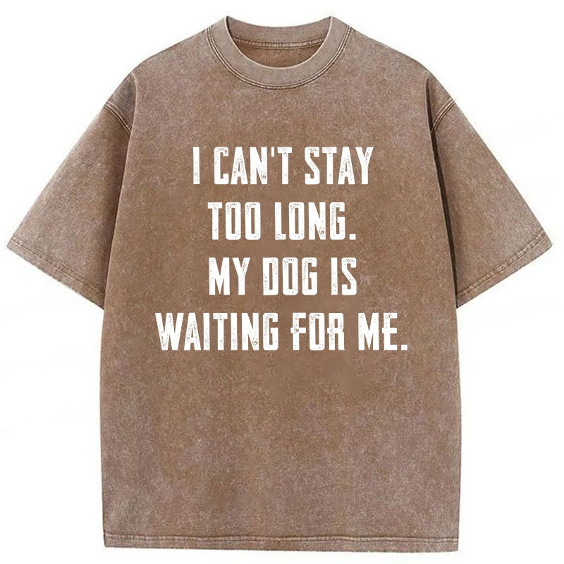 My Dog Is Waiting For Me Washed Unisex Tee