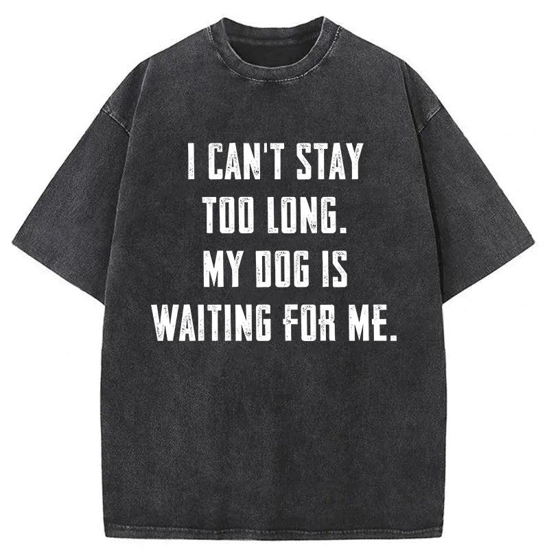 My Dog Is Waiting For Me Washed Unisex Tee