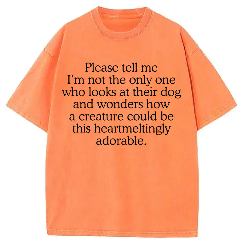 Heartmeltingly Adorable Washed Unisex Tee