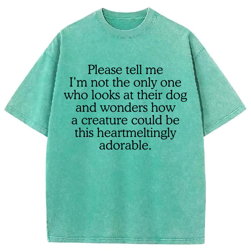 Heartmeltingly Adorable Washed Unisex Tee