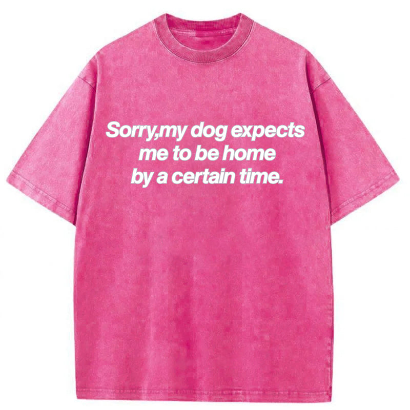 My Dog Expects Me To Be Home By A Certain Time Washed Unisex Tee