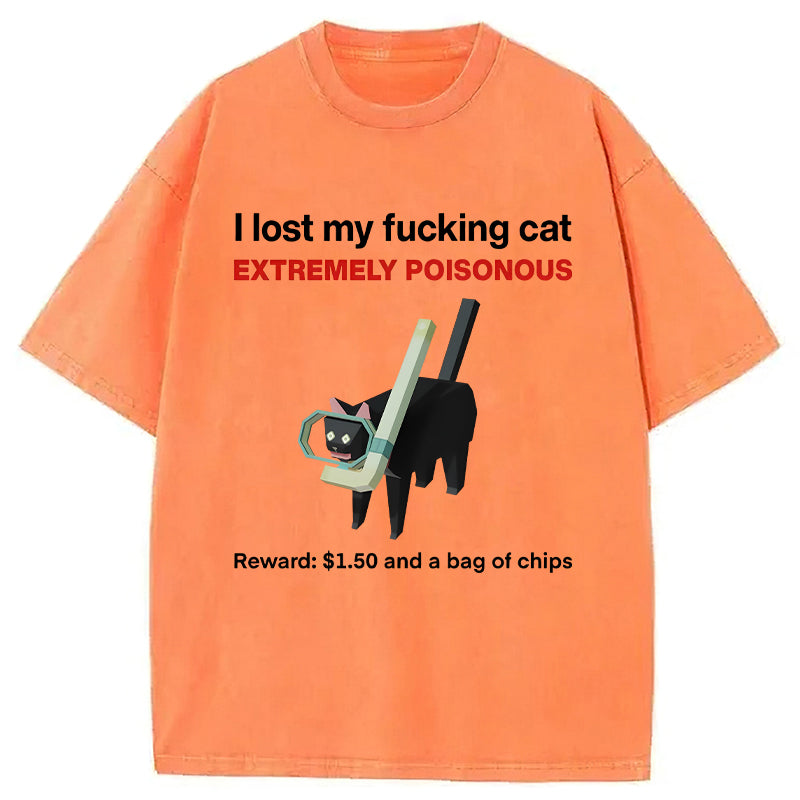 I Lost My Cat Meme Washed Unisex Tee