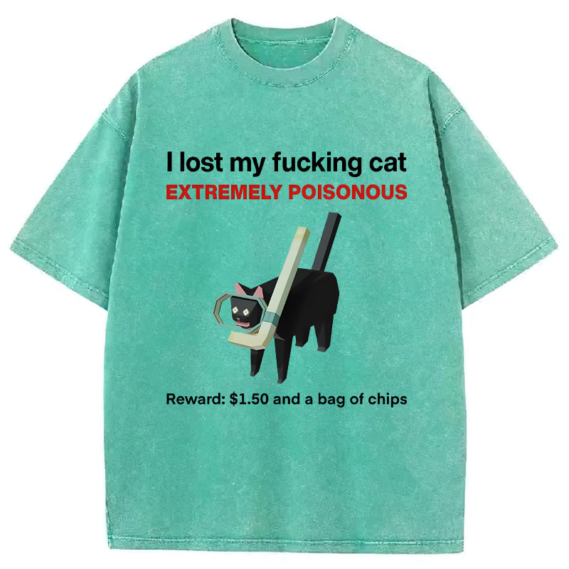 I Lost My Cat Meme Washed Unisex Tee