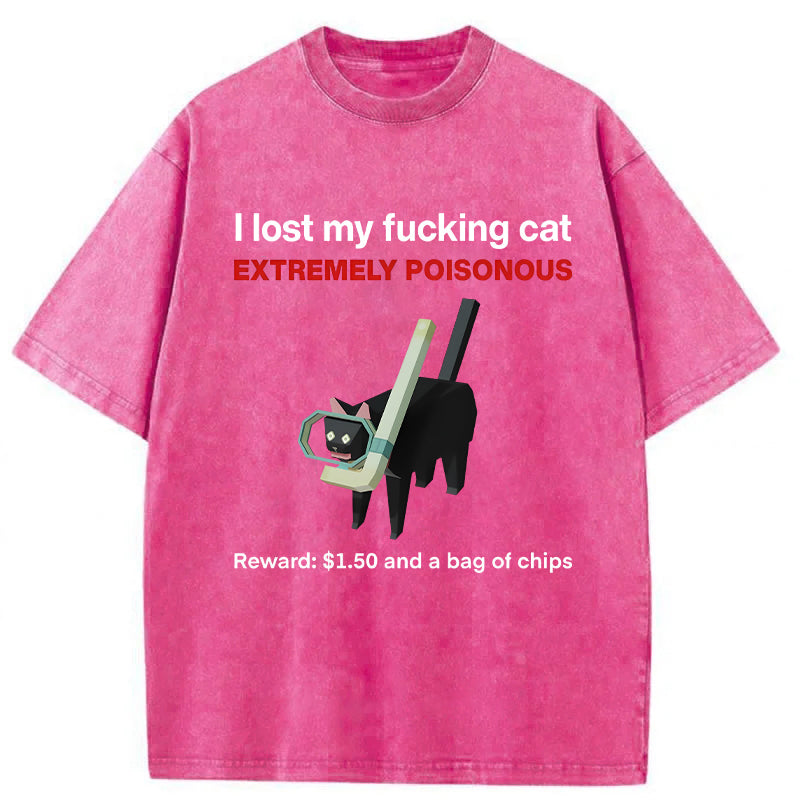 I Lost My Cat Meme Washed Unisex Tee
