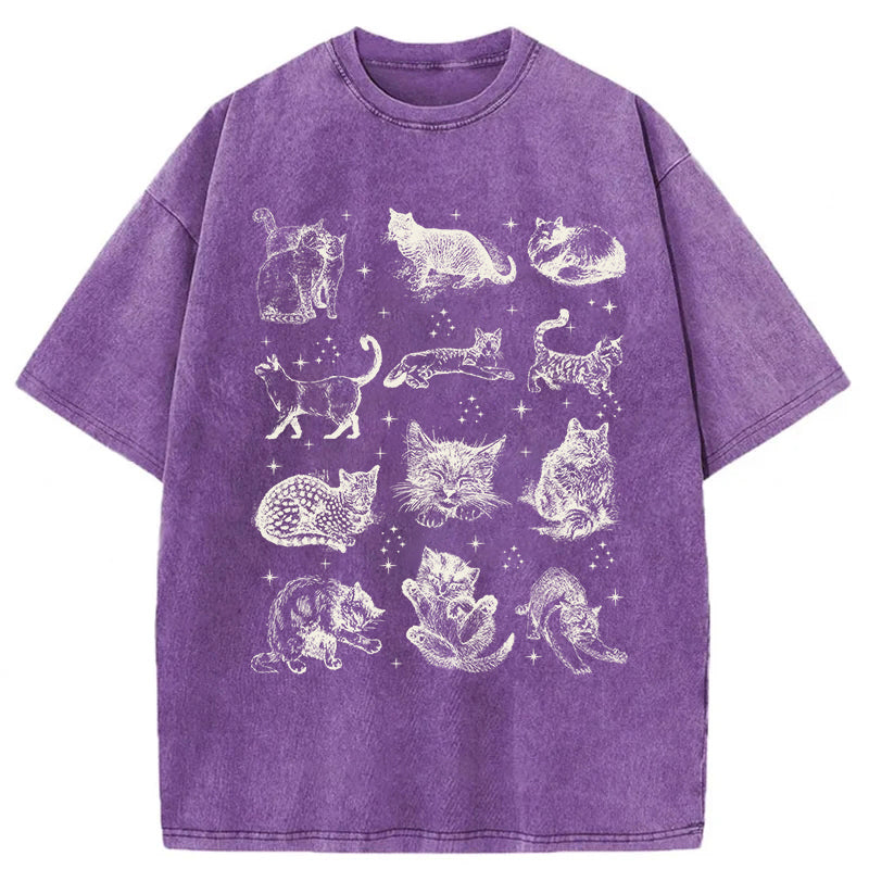 Y2k Kitten Washed Unisex Tee