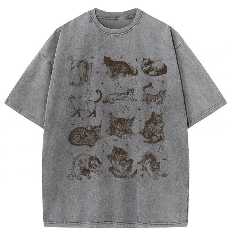 Y2k Kitten Washed Unisex Tee