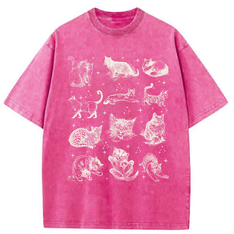 Y2k Kitten Washed Unisex Tee
