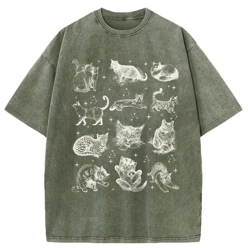 Y2k Kitten Washed Unisex Tee