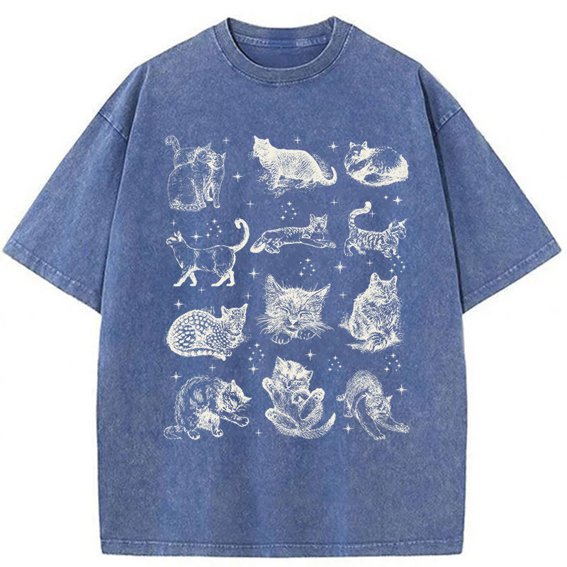 Y2k Kitten Washed Unisex Tee