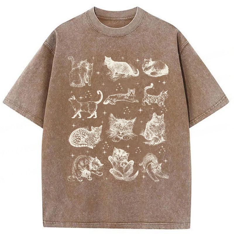 Y2k Kitten Washed Unisex Tee