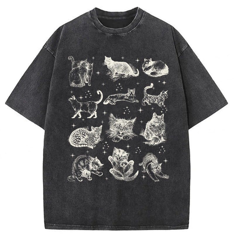 Y2k Kitten Washed Unisex Tee