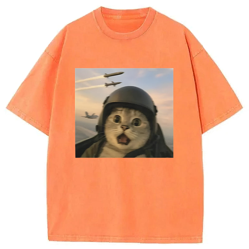 Flying Cat Meme Washed Unisex Tee