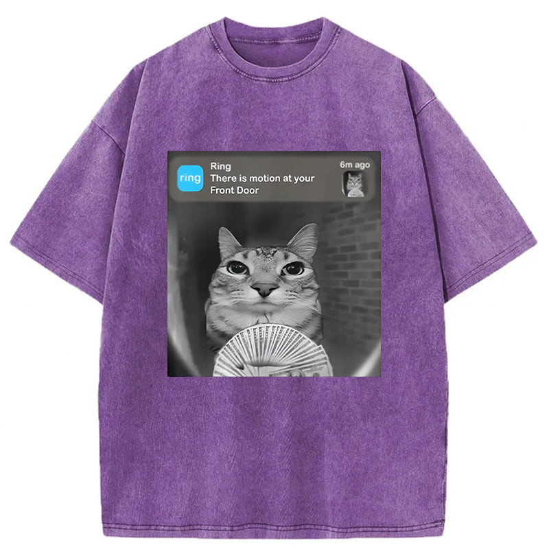 There Is Motion At Your Front Door Washed Unisex Tee
