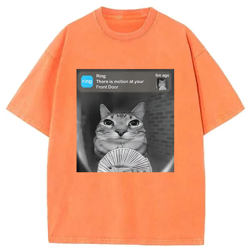 There Is Motion At Your Front Door Washed Unisex Tee
