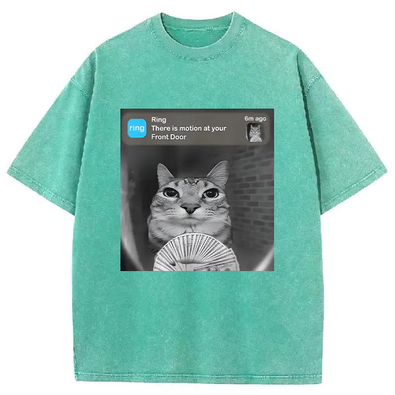 There Is Motion At Your Front Door Washed Unisex Tee