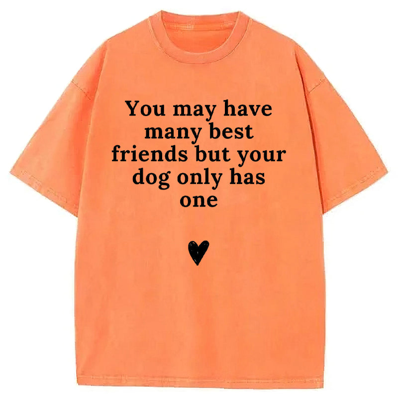 You May Have Many Best Friends But Your Dog Only Has One Washed Unisex Tee