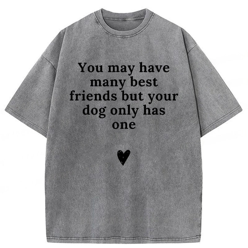 You May Have Many Best Friends But Your Dog Only Has One Washed Unisex Tee