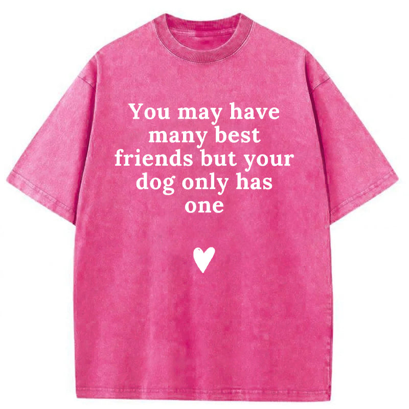 You May Have Many Best Friends But Your Dog Only Has One Washed Unisex Tee