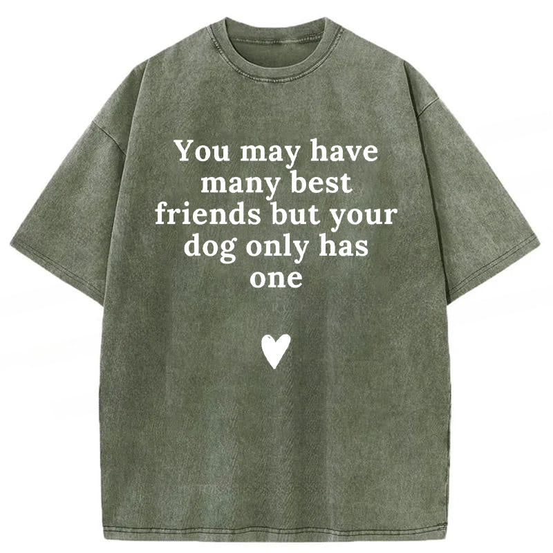 You May Have Many Best Friends But Your Dog Only Has One Washed Unisex Tee