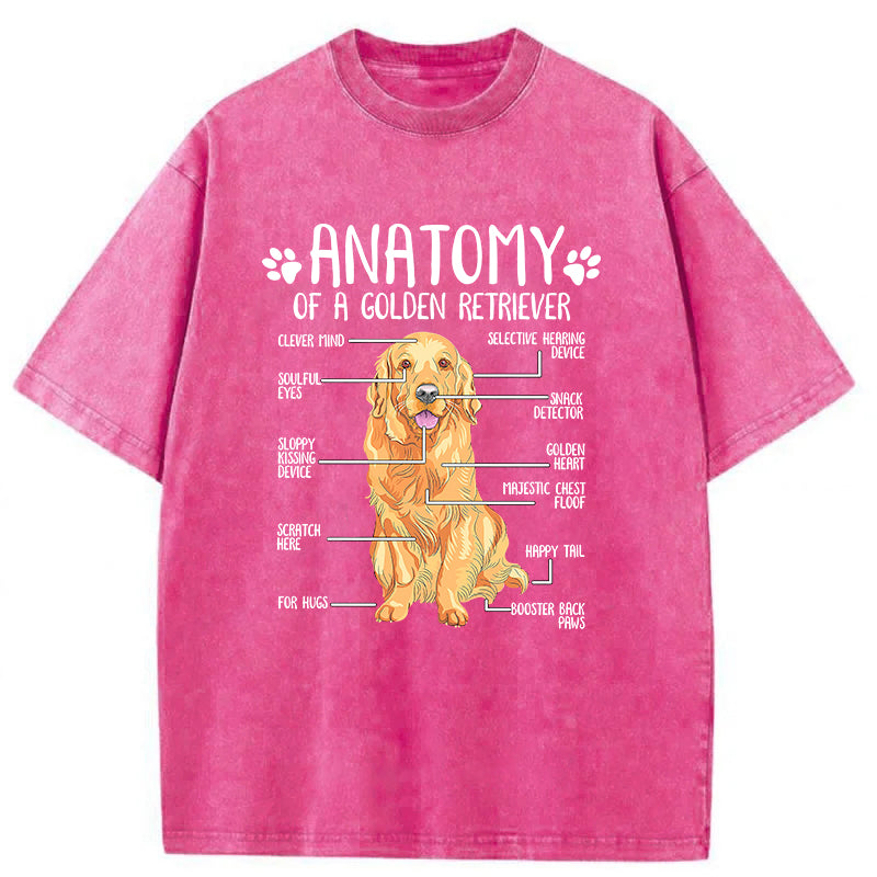 Anatomy Of A Golden Retriever Washed Unisex Tee