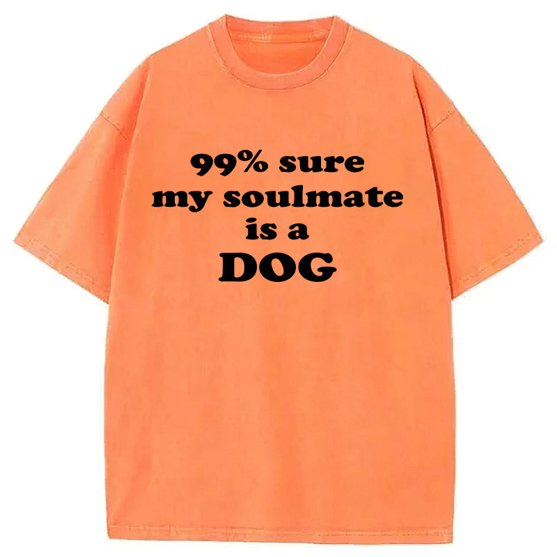 99% Sure My Soulmate Is A Dog Washed Unisex Tee