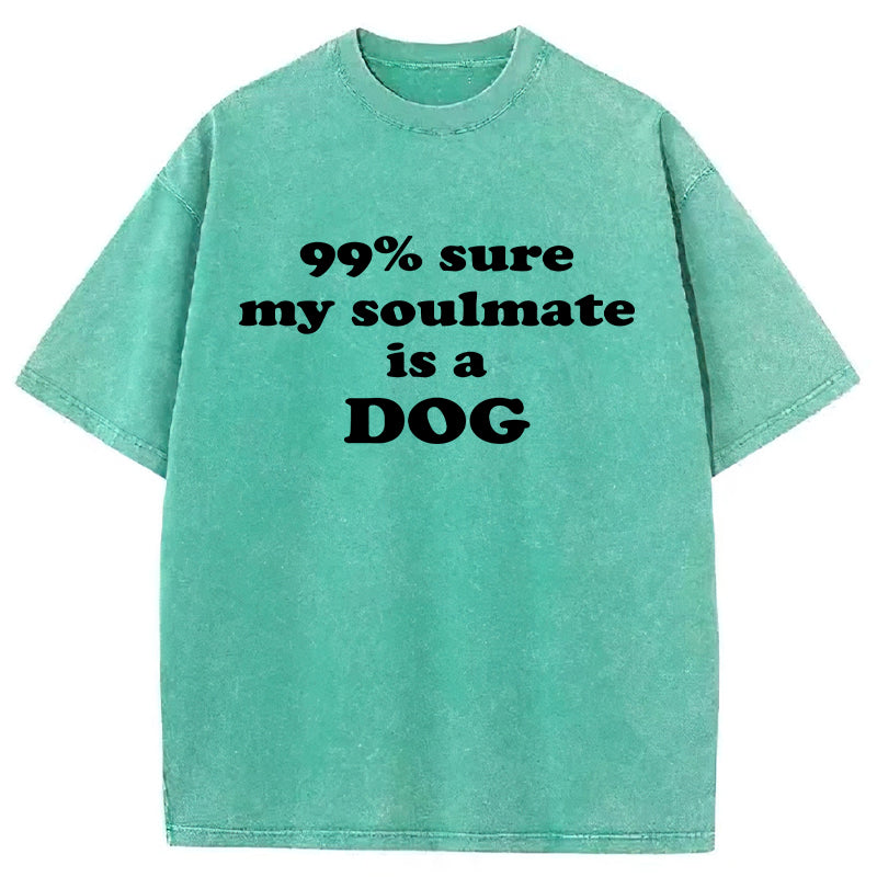 99% Sure My Soulmate Is A Dog Washed Unisex Tee
