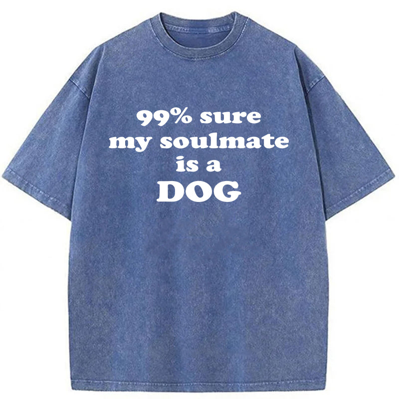 99% Sure My Soulmate Is A Dog Washed Unisex Tee