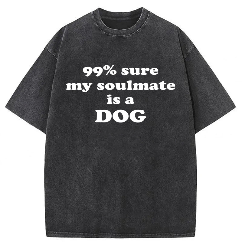 99% Sure My Soulmate Is A Dog Washed Unisex Tee